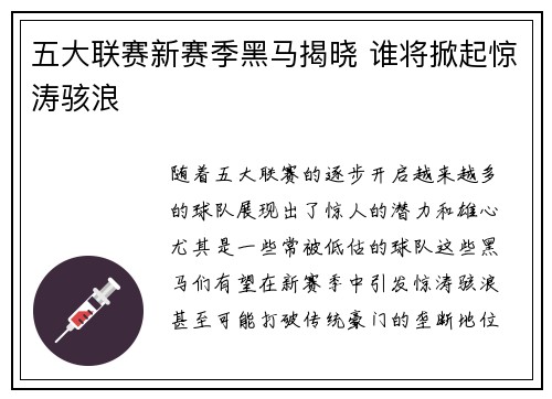 五大联赛新赛季黑马揭晓 谁将掀起惊涛骇浪